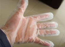 点击查看详细信息<br>标题：vinyl gloves 阅读次数：1134